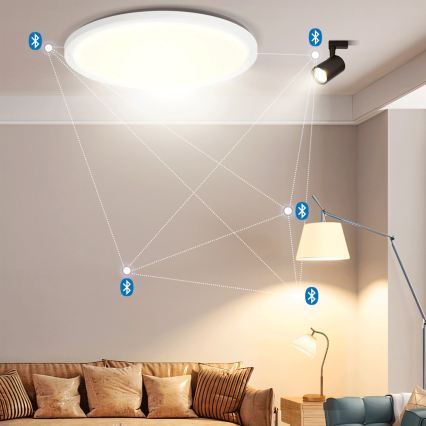 Brilagi - LED RGBW hämardatav laevalgusti VIBE LED/24W/230V 3000-6500K Ø 26 cm valge + kaugjuhtimispult