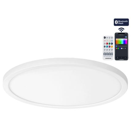 Brilagi - LED RGBW hämardatav laevalgusti VIBE LED/24W/230V 3000-6500K Ø 26 cm valge + kaugjuhtimispult