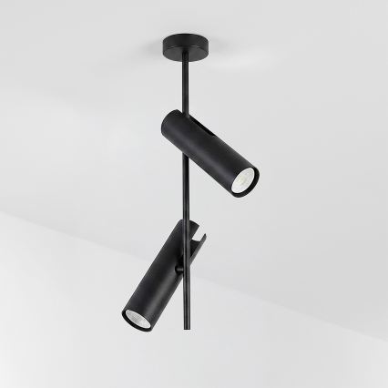 BRILAGI - LED RGBW hämardatav varrega lühter BRANCH 2xGU10/6,5W/230V 2700-6500K must
