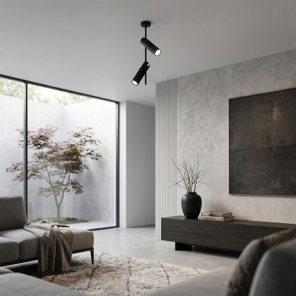 BRILAGI - LED RGBW hämardatav varrega lühter BRANCH 2xGU10/6,5W/230V 2700-6500K must