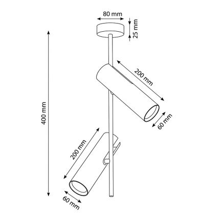 BRILAGI - LED RGBW hämardatav varrega lühter BRANCH 2xGU10/6,5W/230V 2700-6500K must