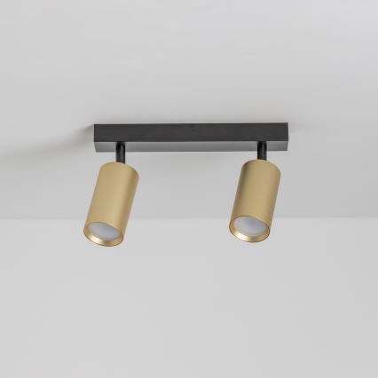 Brilagi - LED RGBW hämardatav spottvalgusti SELE GOLDEN 2xGU10/6W/230V 3000K must/kuldne + kaugjuhtimispult