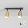 BRILAGI - LED RGBW hämardatav spottvalgusti SELE GOLDEN 2xGU10/4,8W/230V 3000K must/kuldne + kaugjuhtimispult