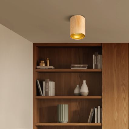 Brilagi - LED RGBW hämardatav TRINE suunavalgusti 1xGU10/4,8W/230V 3000K tammeviimistlus + kaugjuhtimispult