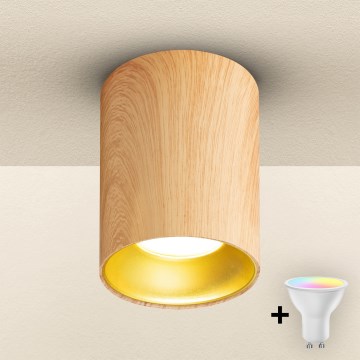 Brilagi - LED RGBW hämardatav TRINE suunavalgusti 1xGU10/4,8W/230V 3000K tammeviimistlus + kaugjuhtimispult