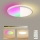 Brilagi - LED RGBW hämardatav ultraõhuke laelamp LED/18W/230V 2700–6500K Ø 30 cm valge + kaugjuhtimispult