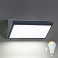 Brilagi - LED RGBW hämardatav välisseinale paigaldatav seinavalgusti TRIANGLE 1xE27/9W/230V 2700-6500K IP65 antratsiit