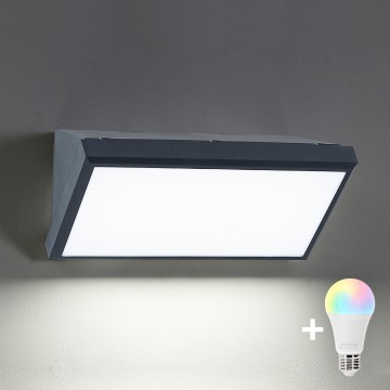 Brilagi - LED RGBW hämardatav välisseinale paigaldatav seinavalgusti TRIANGLE 1xE27/9W/230V 2700-6500K IP65 antratsiit