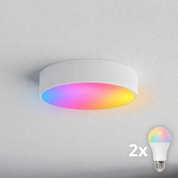 BRILAGI - LED RGBW hämardatav vannitoa laelamp CLARE 2xE27/12W/230V 2700-6500K läbimõõt 30 cm IP54 valge