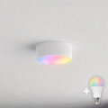 BRILAGI - LED RGBW hämardatav vannitoa laevalgusti CLARE 1xE27/12W/230V 2700-6500K läbimõõt 20 cm IP54 valge