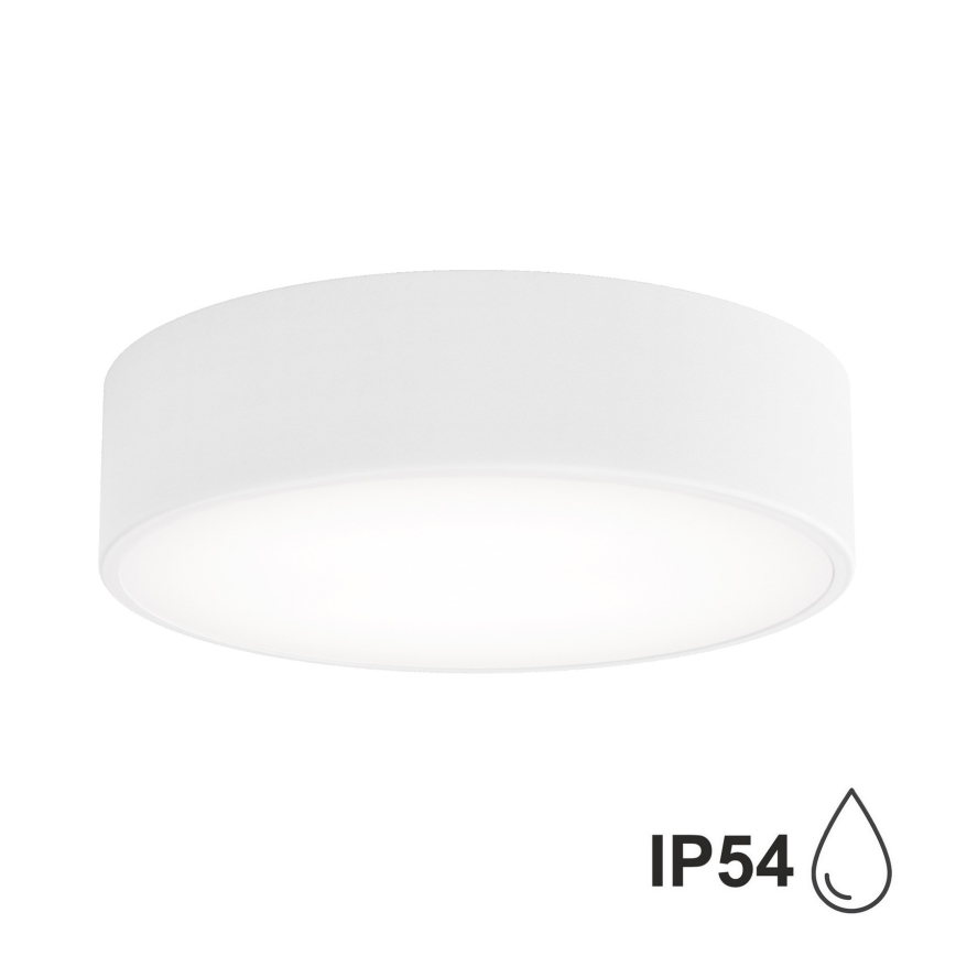 BRILAGI - LED RGBW hämardatav vannitoa laelamp CLARE 2xE27/12W/230V 2700-6500K läbimõõt 30 cm IP54 valge