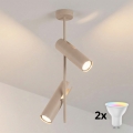 BRILAGI - LED RGBW hämardatav varrega laelamp BRANCH 2xGU10/6,5W/230V 2700-6500K beež