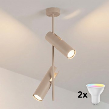 BRILAGI - LED RGBW hämardatav varrega laelamp BRANCH 2xGU10/6,5W/230V 2700-6500K beež