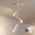 BRILAGI - LED RGBW hämardatav varrega laelamp BRANCH 3xGU10/6,5W/230V 2700-6500K valge