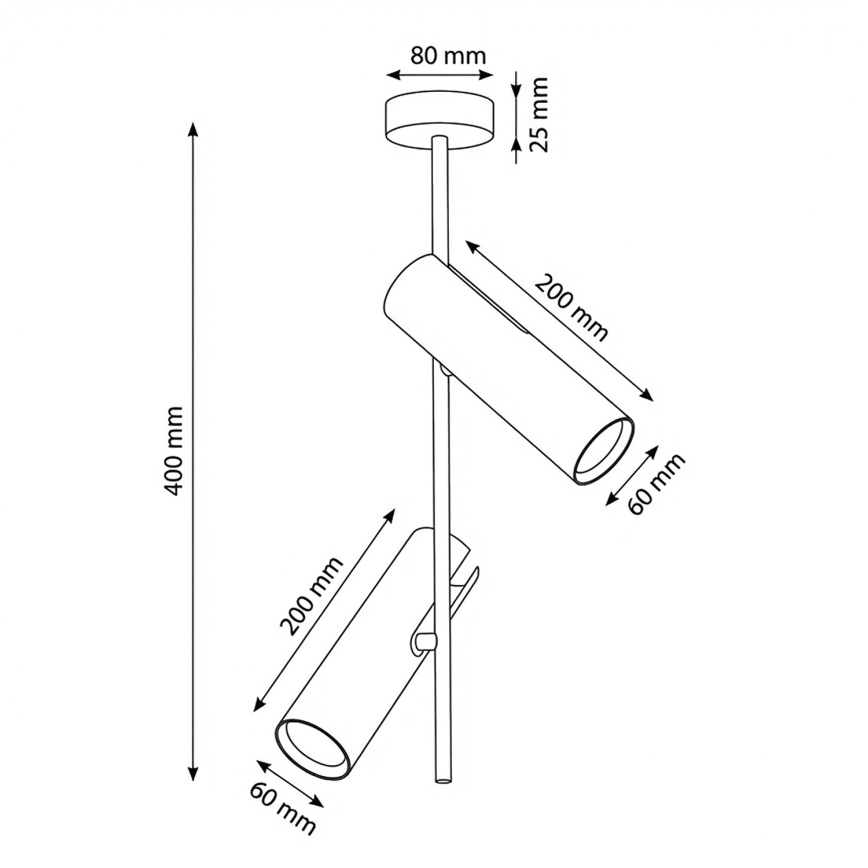 BRILAGI - LED RGBW hämardatav varrega laelamp BRANCH 2xGU10/6,5W/230V 2700-6500K beež