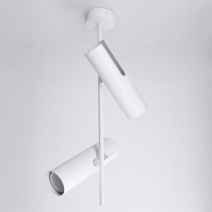 BRILAGI - LED RGBW hämardatav varrega rippvalgusti BRANCH 2xGU10/6,5W/230V 2700-6500K valge