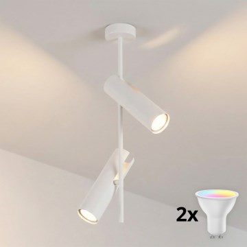 BRILAGI - LED RGBW hämardatav varrega rippvalgusti BRANCH 2xGU10/6,5W/230V 2700-6500K valge