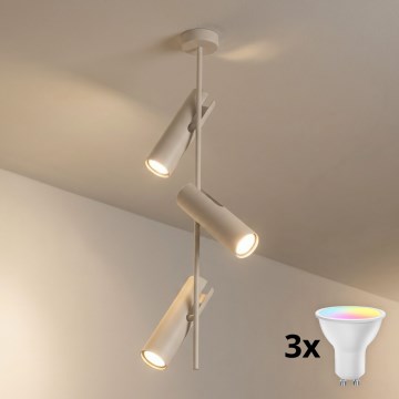 BRILAGI - LED RGBW hämardatav varrega rippvalgusti BRANCH 3xGU10/6,5W/230V 2700-6500K beež