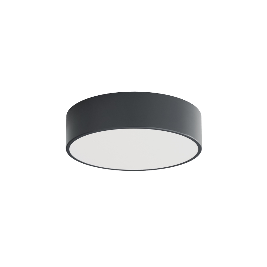 BRILAGI - LED RGBW hämardatav vannitoa laelamp CLARE 2xE27/12W/230V läbimõõt 30 cm antratsiit IP54
