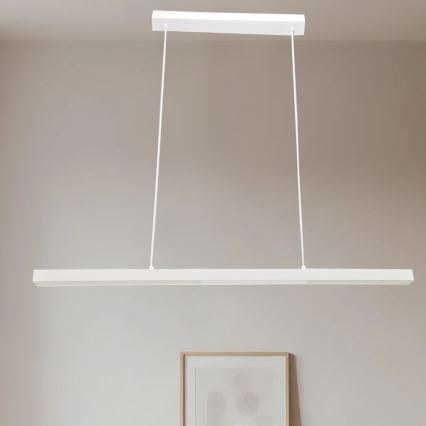 Brilagi - LED ripatslühter kaablil AXIS LED/30W/230V 120 cm valge