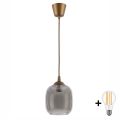 BRILAGI - LED-ripatsvalgusti kaablile RETRO GLASS 1xE27/60W/230V läbimõõt 14 cm pruun/suitsuhall