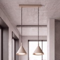 BRILAGI - LED Rippvalgusti kaabliga CONE DOUBLE 2xGX53/15W/230V beež
