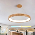 BRILAGI - LED-rippvalgusti kaablil FALCON WOOD MODERN LED/60W/230V 3000/4000/6000K läbimõõt 80 cm, puidust
