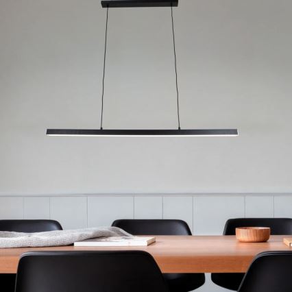 Brilagi - LED-rippvalgusti kaablil PPAXIS LED/30W/230V 120 cm must
