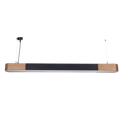 BRILAGI - LED Rippvalgusti traadiga GARDALINE LED/100W/230V tamm/must
