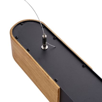 BRILAGI - LED Rippvalgusti traadiga GARDALINE LED/100W/230V tamm/must
