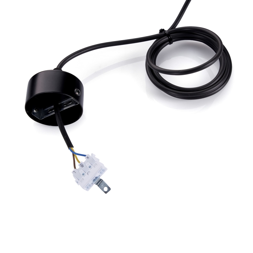 BRILAGI - LED Rippvalgusti traadiga GARDALINE LED/100W/230V tamm/must
