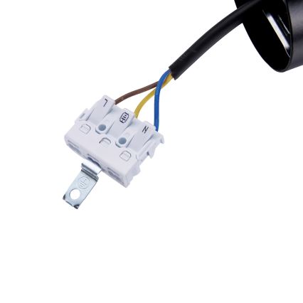 BRILAGI - LED Rippvalgusti traadiga GARDALINE LED/100W/230V tamm/must
