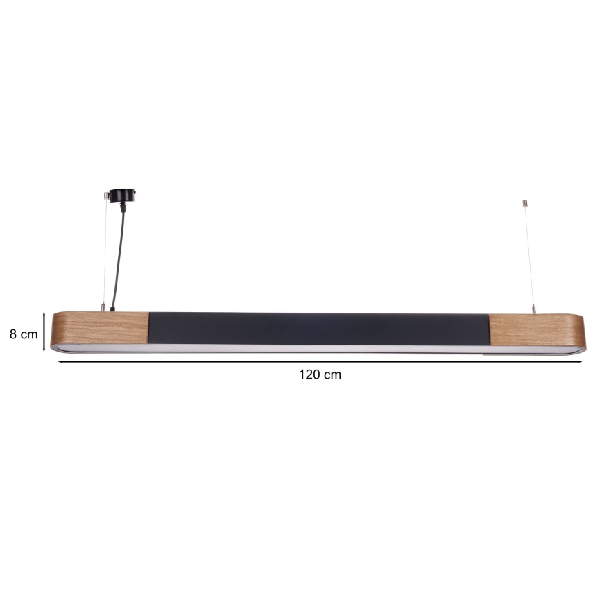 BRILAGI - LED Rippvalgusti traadiga GARDALINE LED/100W/230V tamm/must
