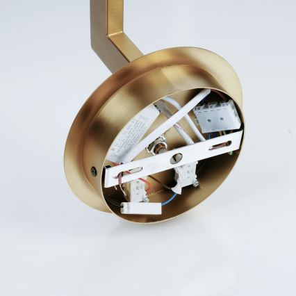 Brilagi - LED Seinavalgusti DAYA 1xE14/40W/230V + LED/3W kreemikas/kuldne