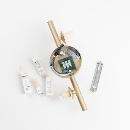 Brilagi - LED Seinavalgusti MILLA 3xG9/3W/230V kuldne/valge