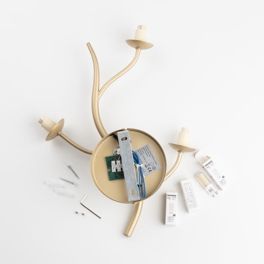 Brilagi - LED Seinavalgusti MISTEL 3xG9/3W/230V kuldne