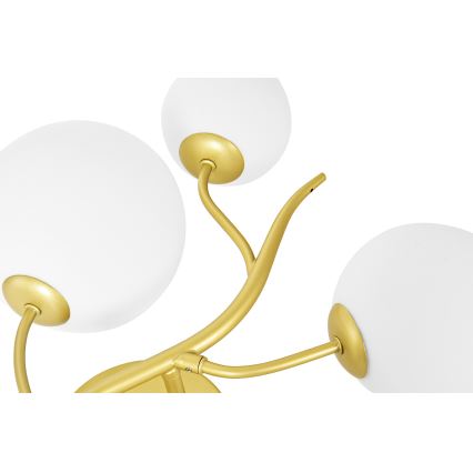 Brilagi - LED Seinavalgusti MISTEL 3xG9/3W/230V kuldne/valge