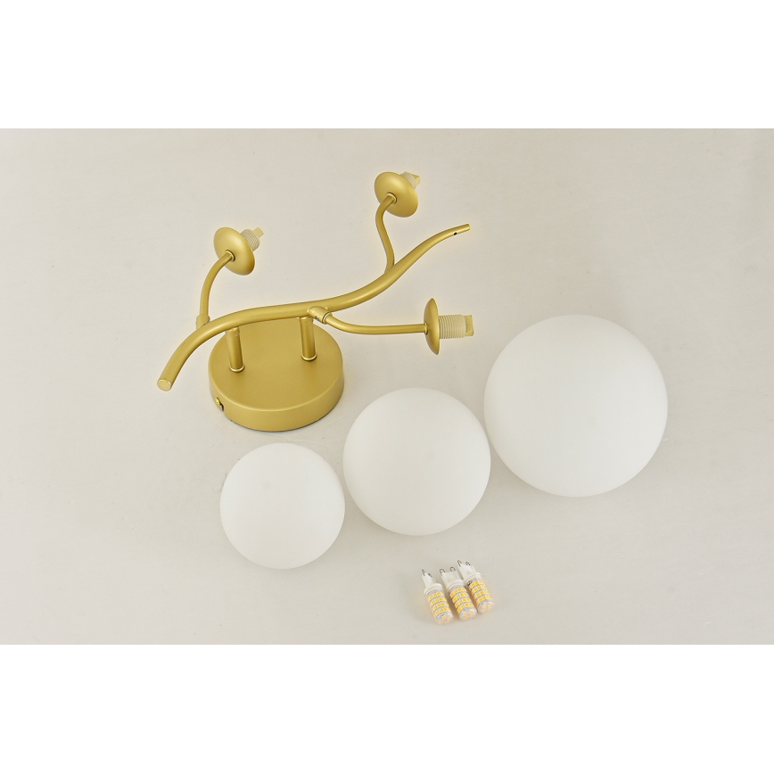 Brilagi - LED Seinavalgusti MISTEL 3xG9/3W/230V kuldne/valge