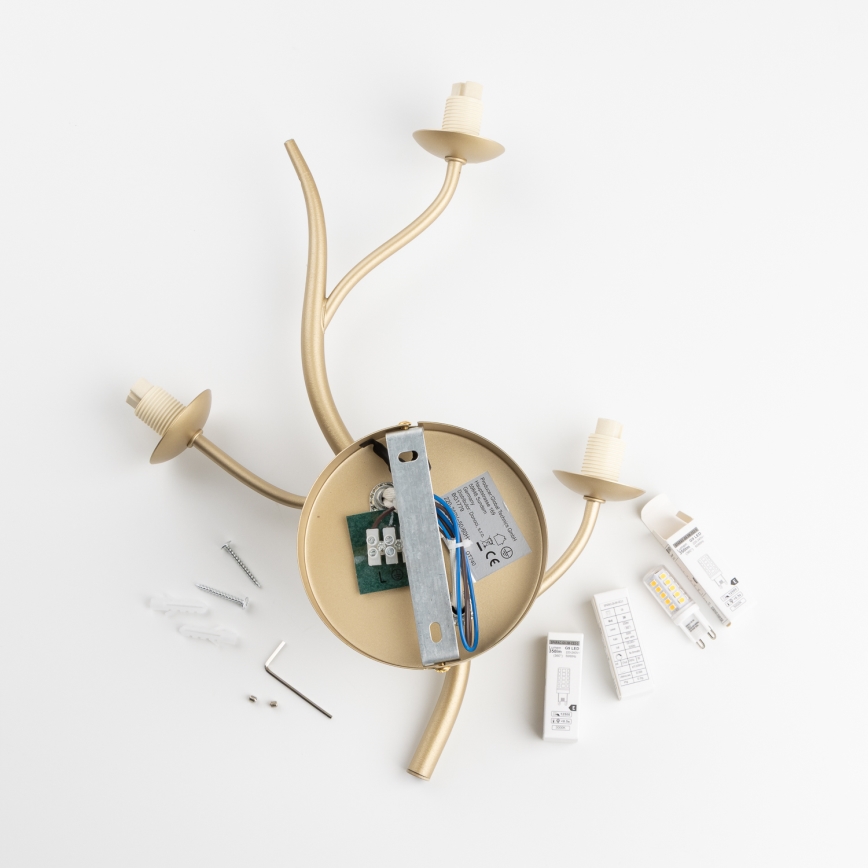 Brilagi - LED Seinavalgusti MISTEL 3xG9/3W/230V kuldne/valge