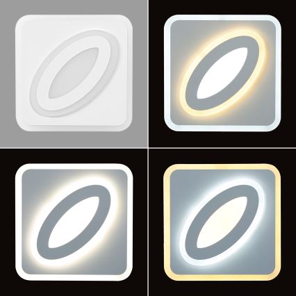 Brilagi - LED Seinavalgusti MODERN MINI LED/32W/230V 3000/4000/6000K