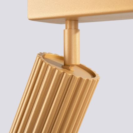 Brilagi - LED-spottvalgusti CRESTO 4xGU10/10W/230V kuldne