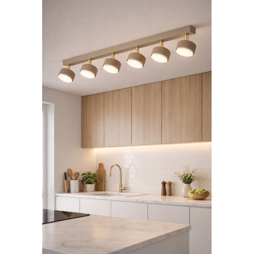 BRILAGI - LED spottvalgusti MONO 6xGX53/30W/230V beež/kuldne