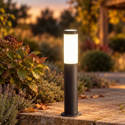 BRILAGI - LED hämardatav välisvalgusti ELIA 1xE27/6W/230V 2700-6500K IP44 Wi-Fi 50 cm antratsiit