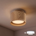 BRILAGI - LED suunav valgusti BACKLIT 1xGX53/15W/230V + LED/3W läbimõõt 10 cm tamme dekor