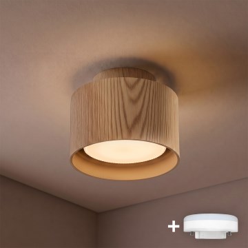 BRILAGI - LED suunav valgusti BACKLIT 1xGX53/15W/230V + LED/3W läbimõõt 10 cm tamme dekor