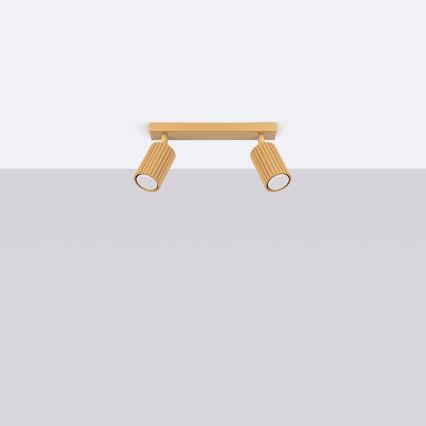 Brilagi - LED suunavalgusti CRESTO 2xGU10/10W/230V kuldne