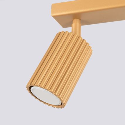 Brilagi - LED suunavalgusti CRESTO 2xGU10/10W/230V kuldne