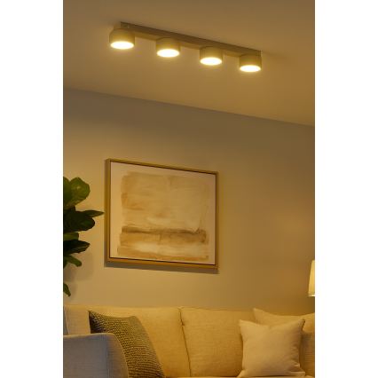 Brilagi - LED suunavalgusti MONO 4xGX53/30W/230V beež