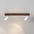 BRILAGI - LED suunavalgusti SELE 2xGU10/30W/230V + LED/15W valge/kirsidekor