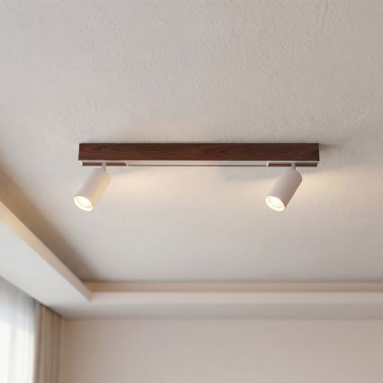 BRILAGI - LED suunavalgusti SELE 2xGU10/30W/230V + LED/15W valge/kirsidekor